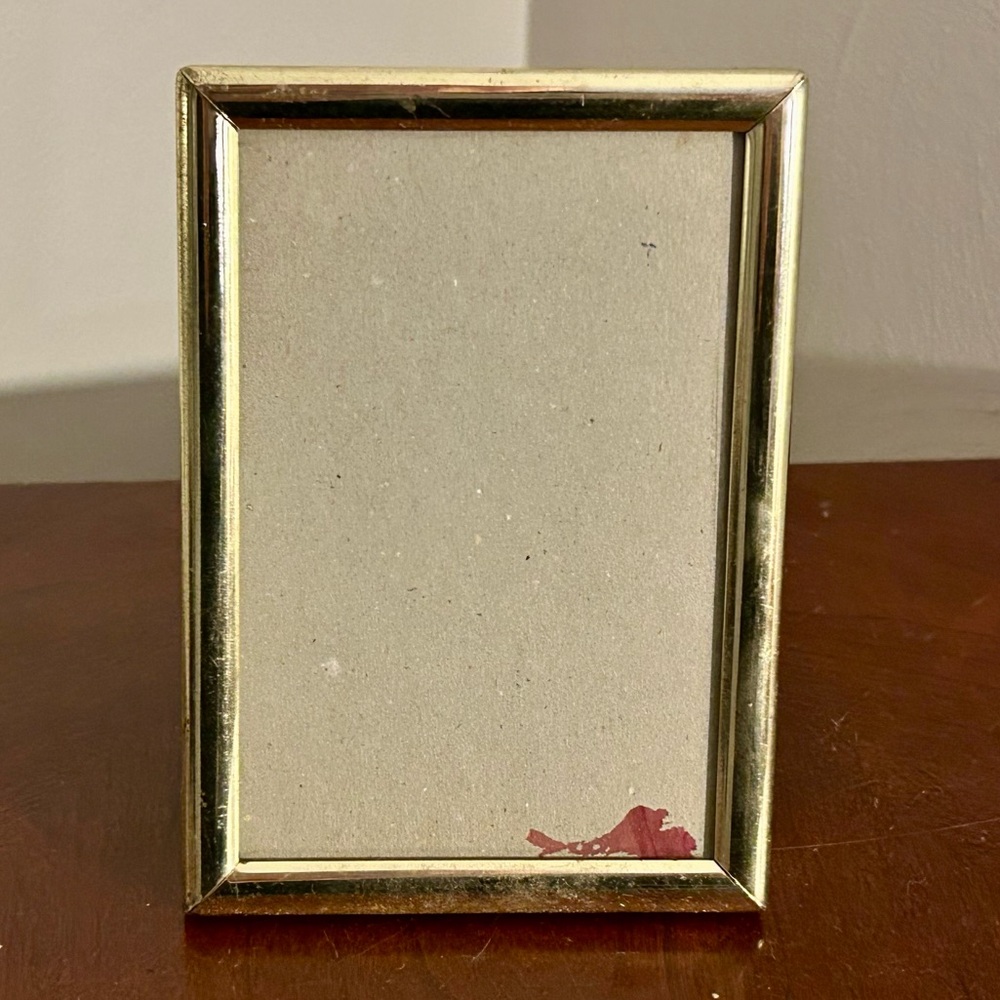 Vintage Boho Gold Brass 4x6 Picture Frame Velvet Type Backing